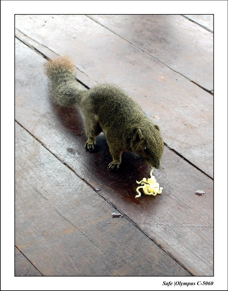 2005 - 08 - Redang  - 016.JPG